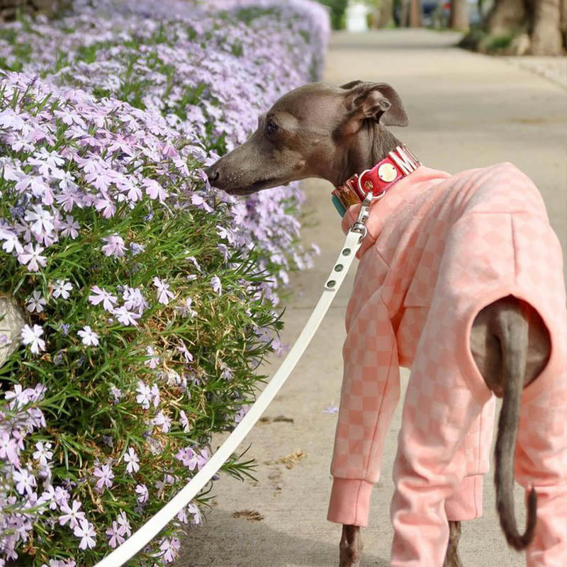 Warm Stretchy Italian Dog Jumpsuit
