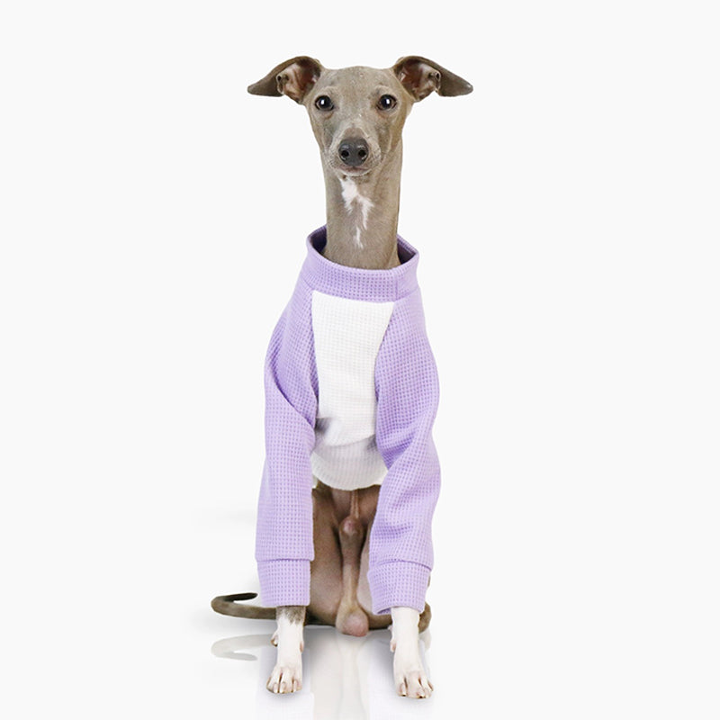 Soft Cotton Dog Whippet Shirt
