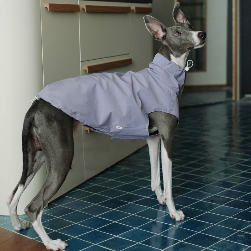 Waterproof Scratch-Resistant Vest Italian Greyhound Whippet Clothes