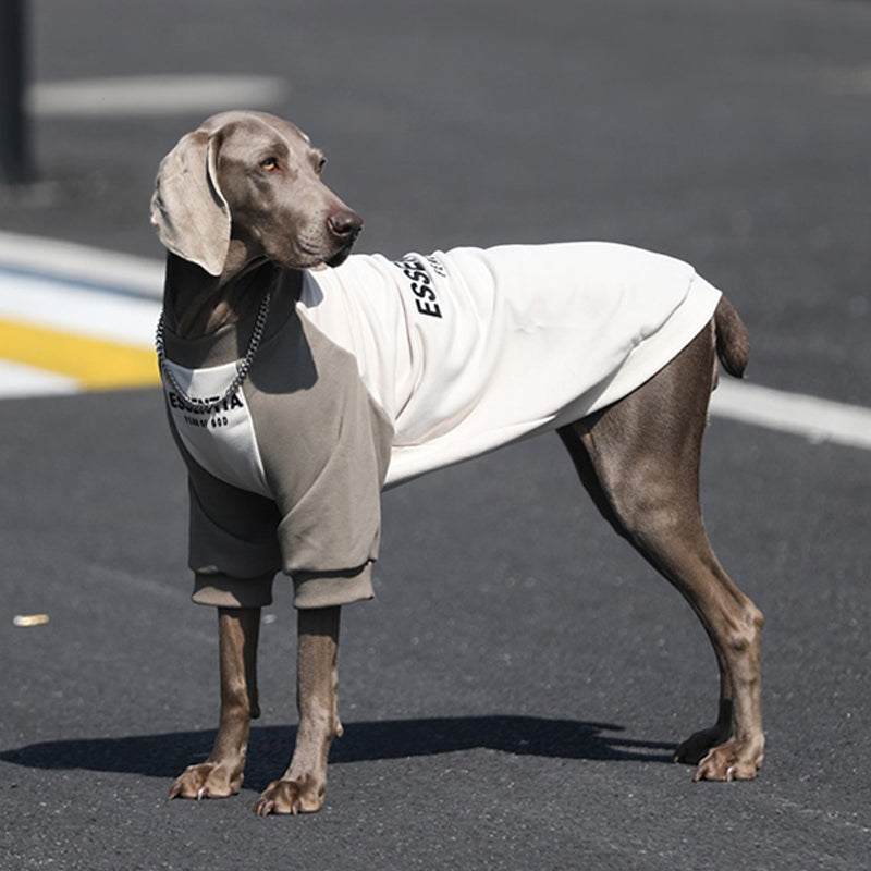 Breathable Big Dog Summer Hoodie