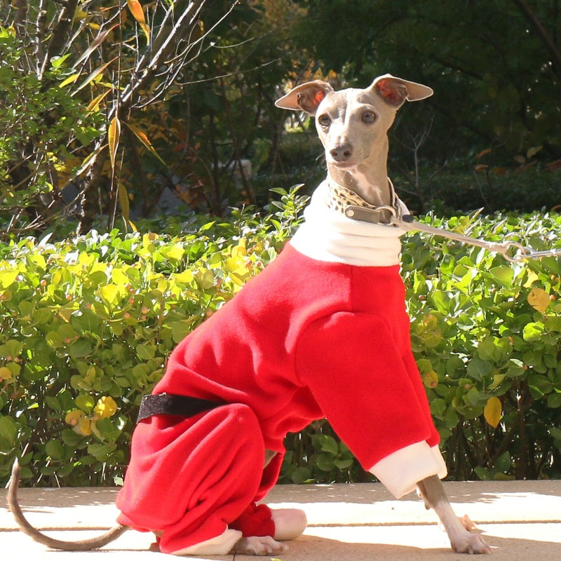 Christmas Red Four-Leg Onesie Italian Greyhound Whippet Dog Clothing