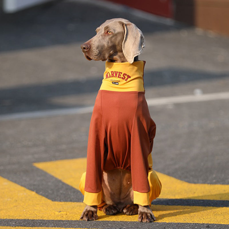 Breathable Cotton Big Dog Onesie