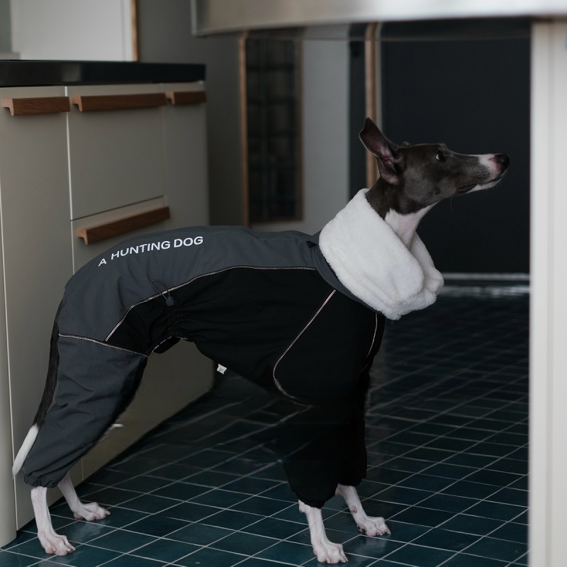Winter Waterproof Windproof Onesie Italian Greyhound Whippet Clothes