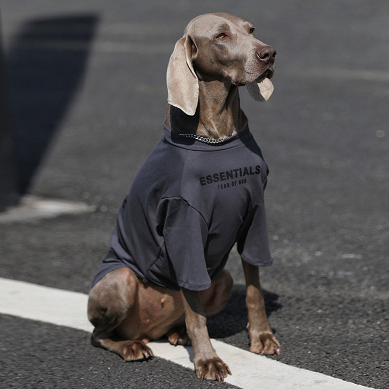 Soft Cotton Big Dog T Shirt