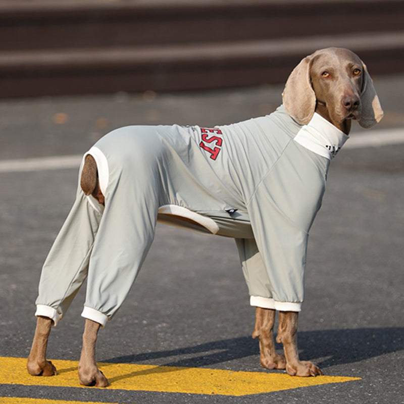 UPF50 Big Dog Cotton Onesie