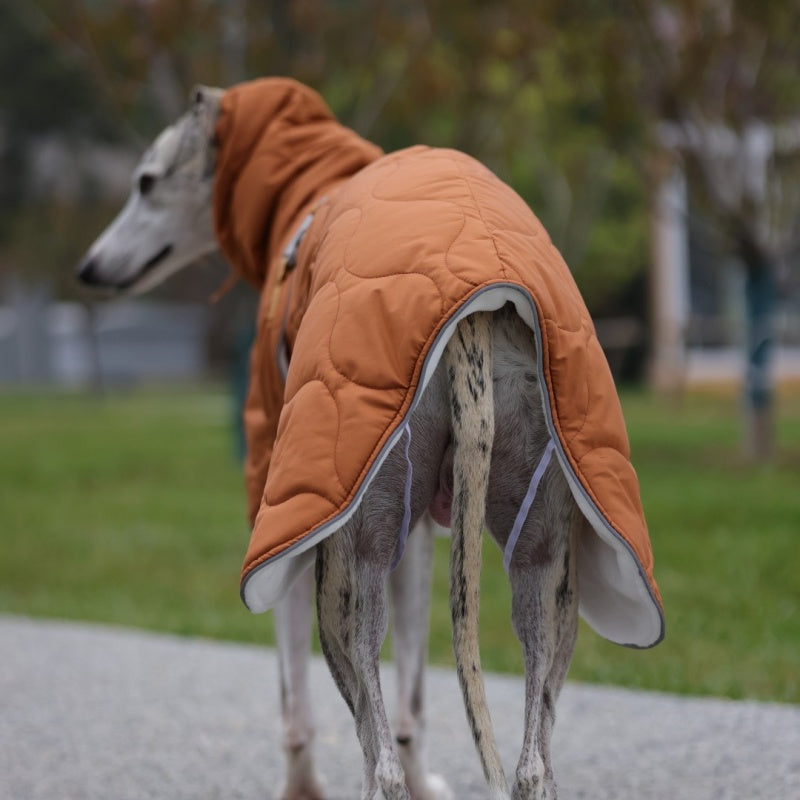 Thick Warm Waterproof Vest Italian Greyhound Whippet Winter Coat