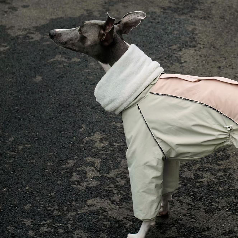 Winter Waterproof Windproof Onesie Italian Greyhound Whippet Clothes