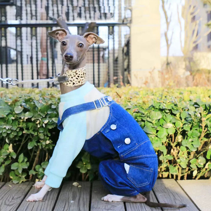 Comfortable Denim Italian Dog Pants