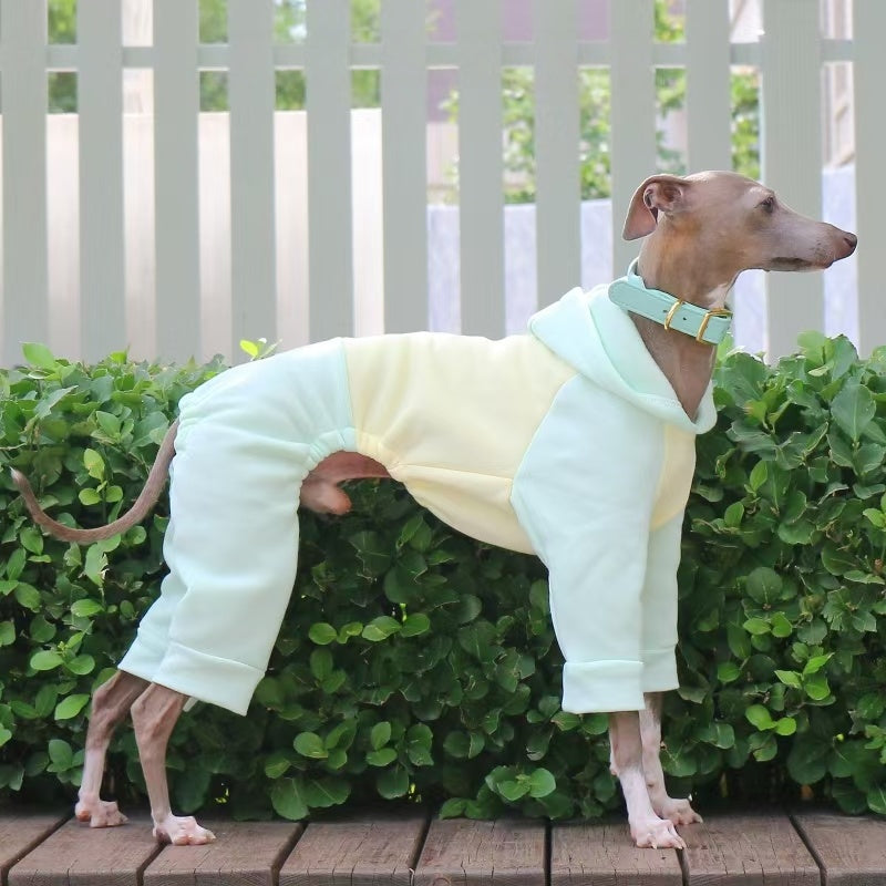 Warm Color Block Onesies for Italian Greyhound Whippet Clothes