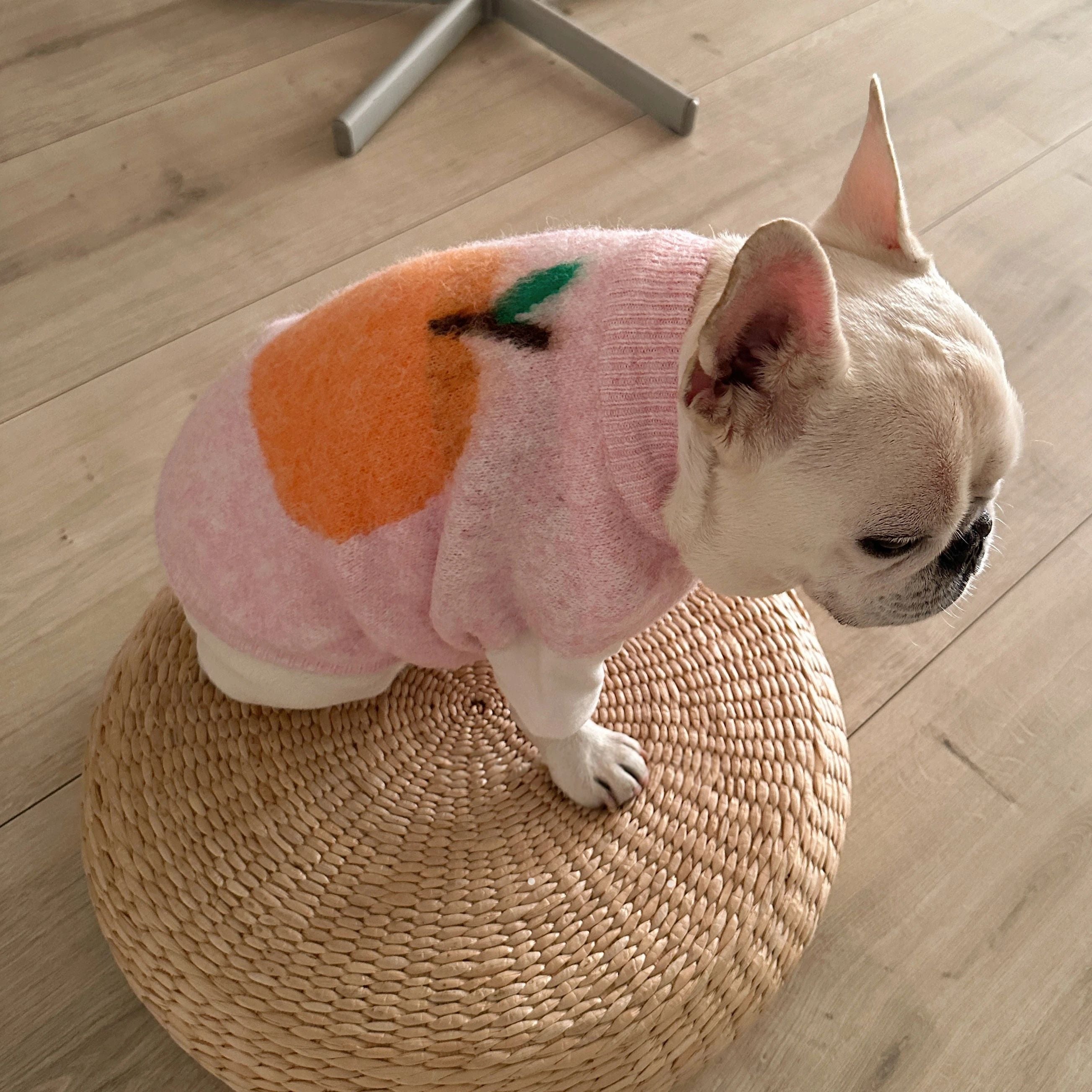 Winter Warm Knit Dog Vest