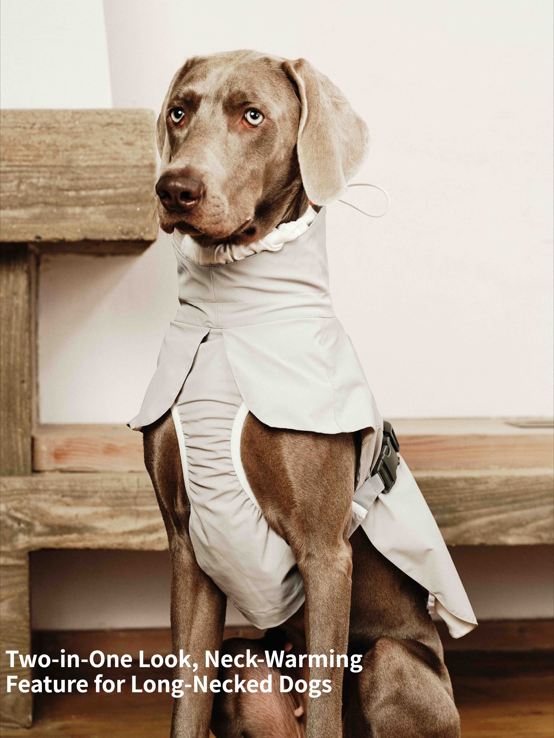 Waterproof Dog Shell Jacket