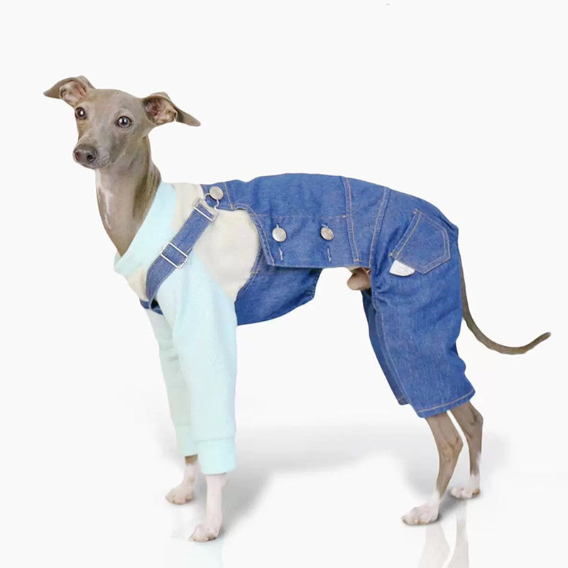 Comfortable Denim Italian Dog Pants