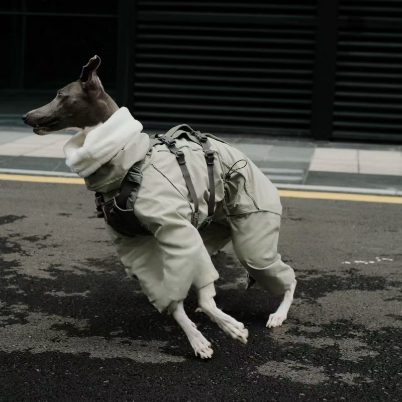 Winter Waterproof Windproof Onesie Italian Greyhound Whippet Clothes