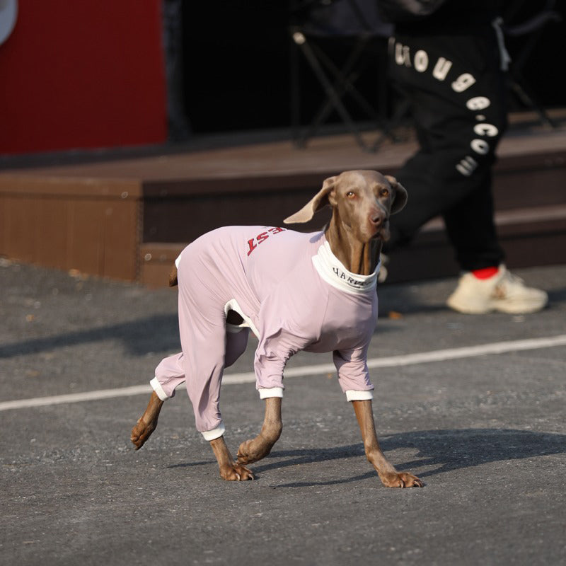 UPF50 Big Dog Cotton Onesie