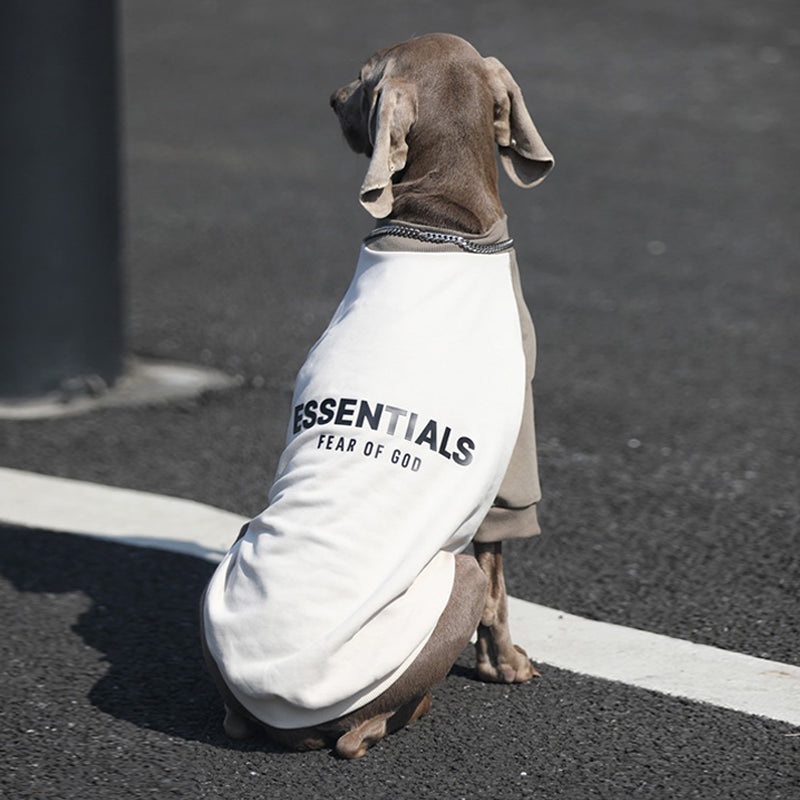 Breathable Big Dog Summer Hoodie