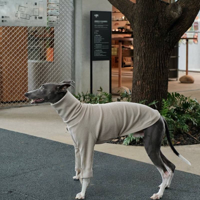 High-Neck Thermal Base Shirt Italian Greyhound Whippet Clothes