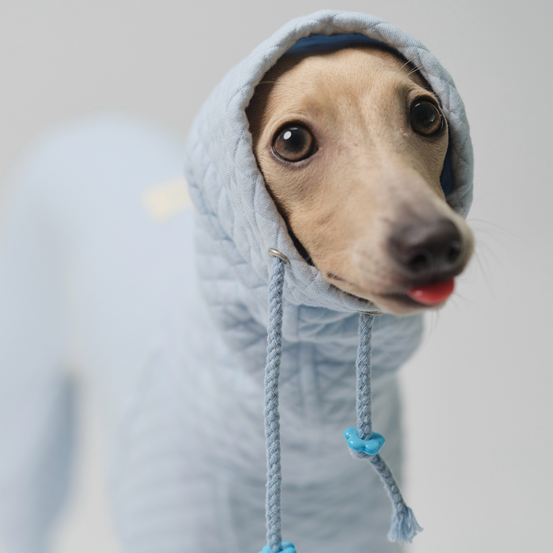Soft Stretch Four-Leg Outfit for Italian Greyhound