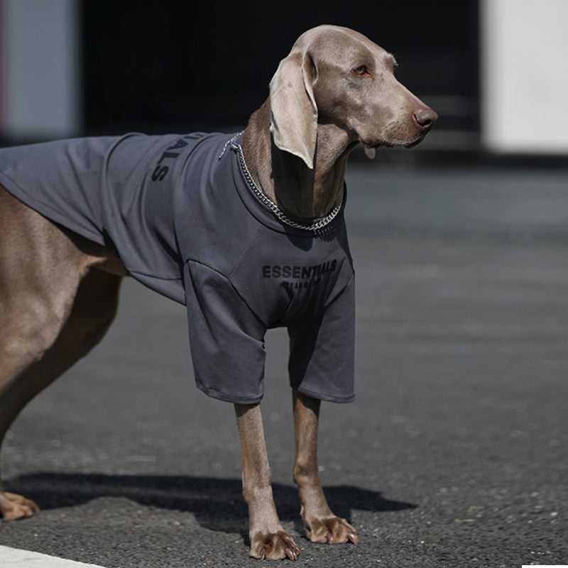 Soft Cotton Big Dog T Shirt