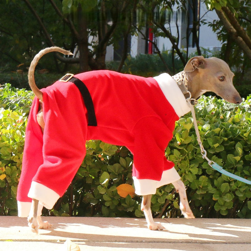 Christmas Red Four-Leg Onesie Italian Greyhound Whippet Dog Clothing