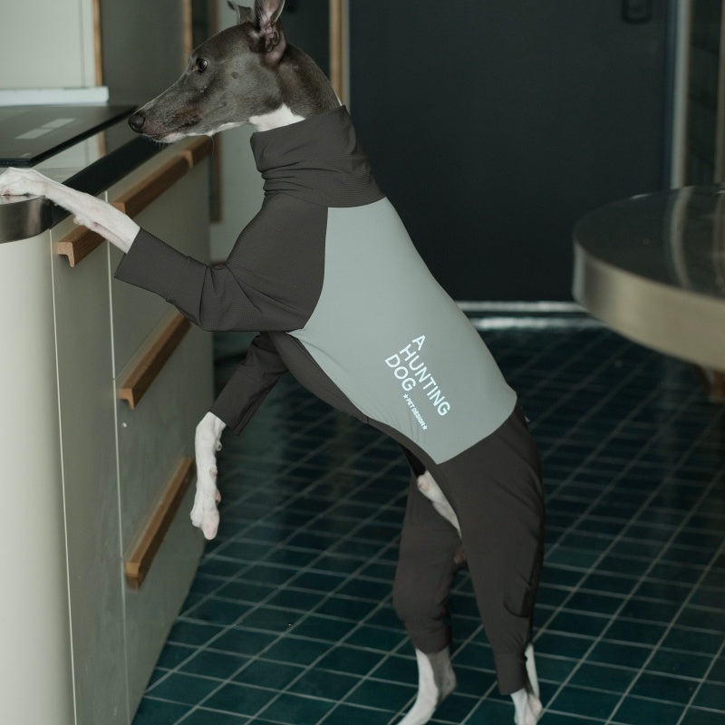 Anti-Insect Outdoor Onesies Italian Greyhound Whippet Clothes