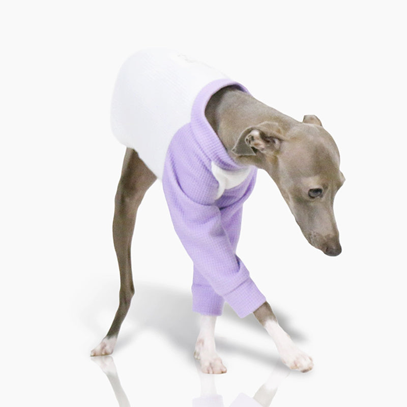 Soft Cotton Dog Whippet Shirt