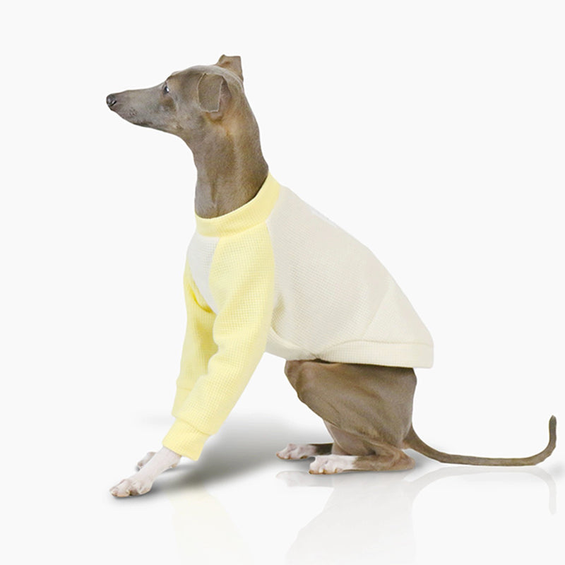 Soft Cotton Italian Dog Waffle Shirt