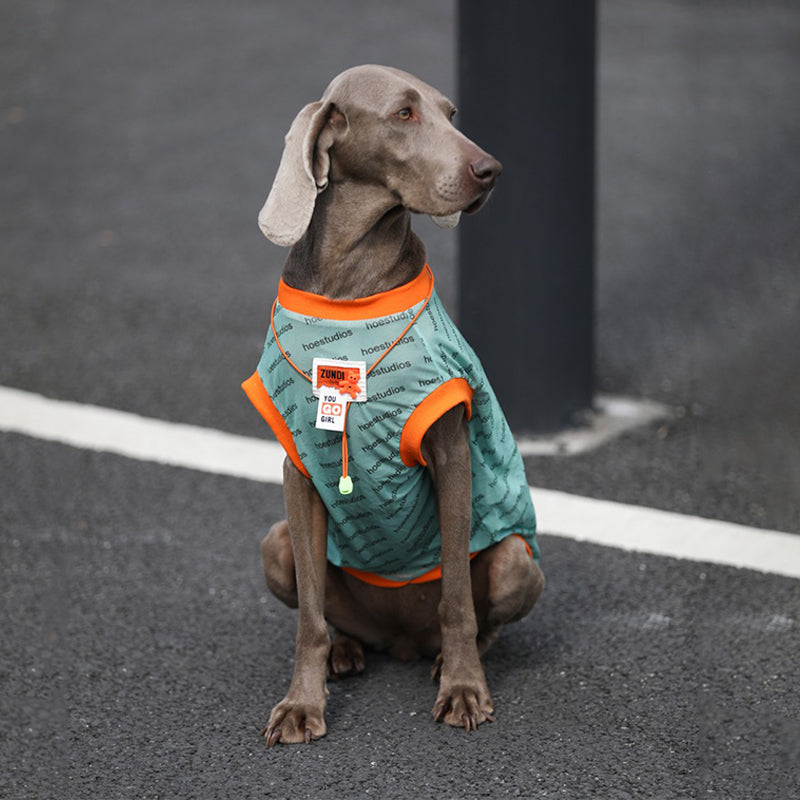 Breathable Big Dog Sport Tank