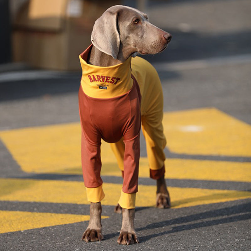 Breathable Cotton Big Dog Onesie