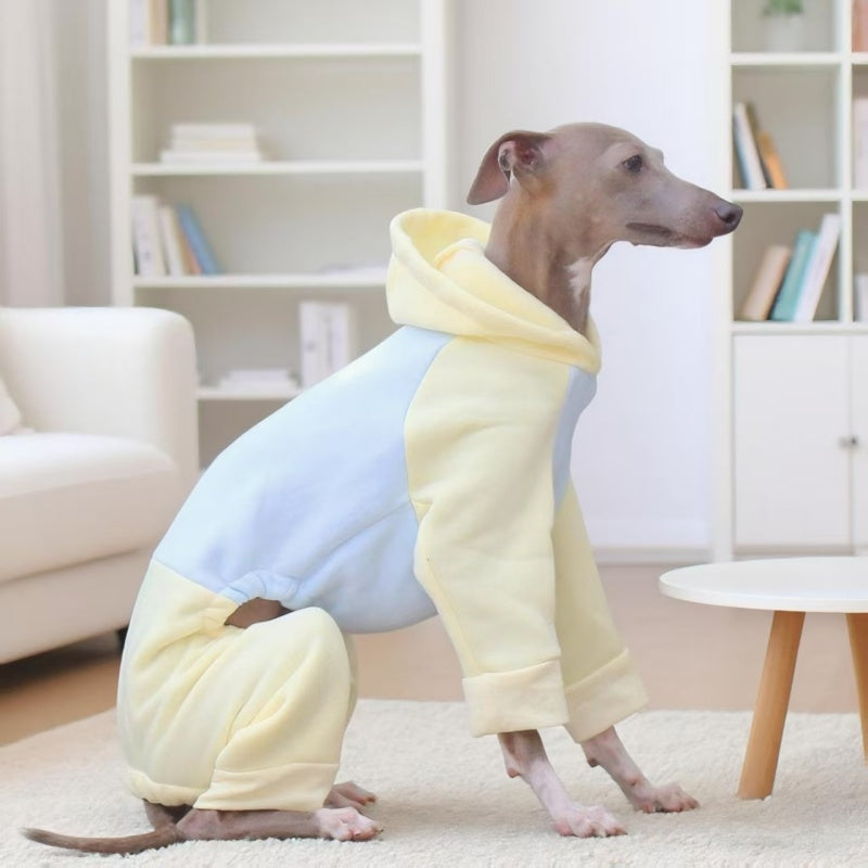 Warm Color Block Onesies for Italian Greyhound Whippet Clothes