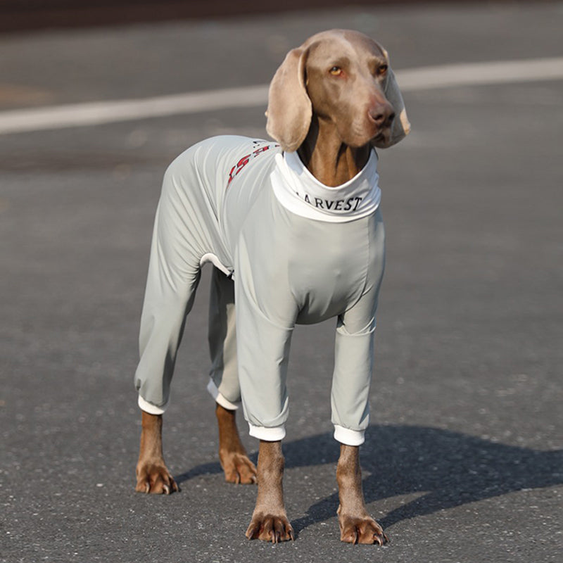 UPF50 Big Dog Cotton Onesie