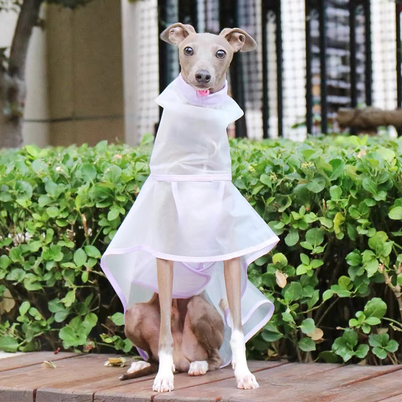 Waterproof Dog Raincoat Outdoor Jacket