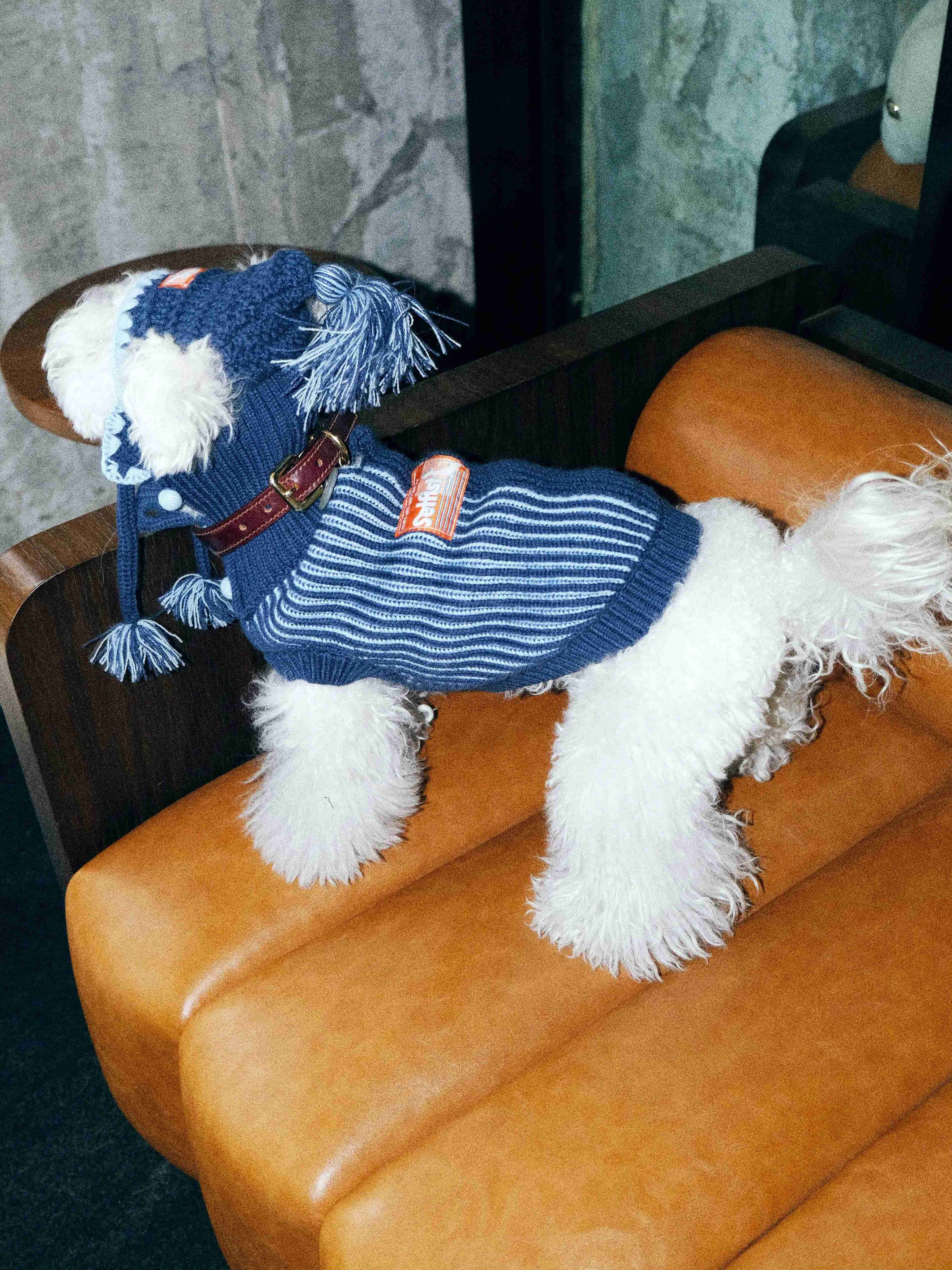 Wool Knit Holiday Dog Sweater for Greyhound