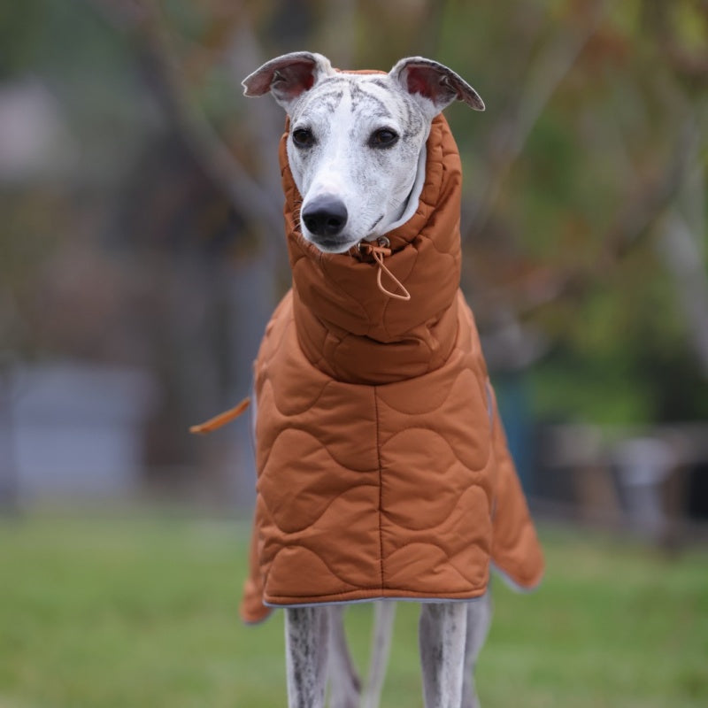 Thick Warm Waterproof Vest Italian Greyhound Whippet Winter Coat