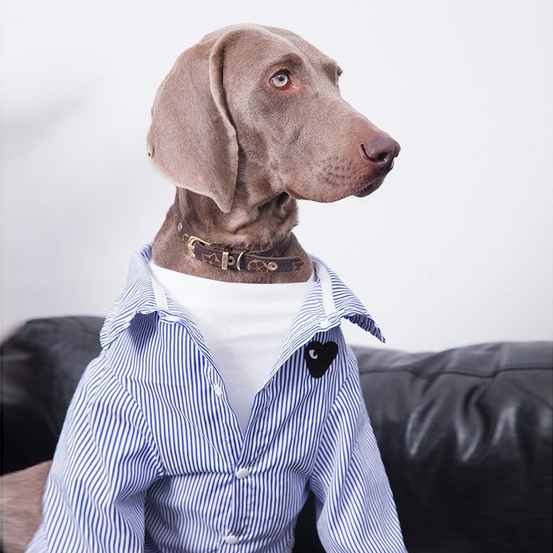 Breathable Summer Big Dog Shirt