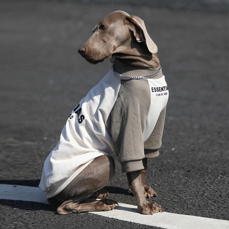 Breathable Big Dog Summer Hoodie