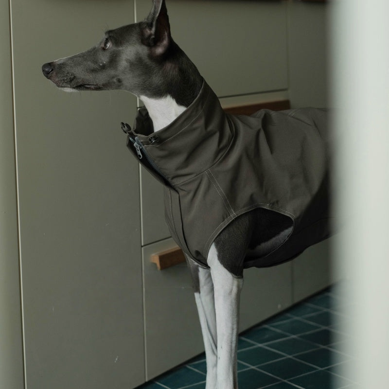 Waterproof Scratch-Resistant Vest Italian Greyhound Whippet Clothes