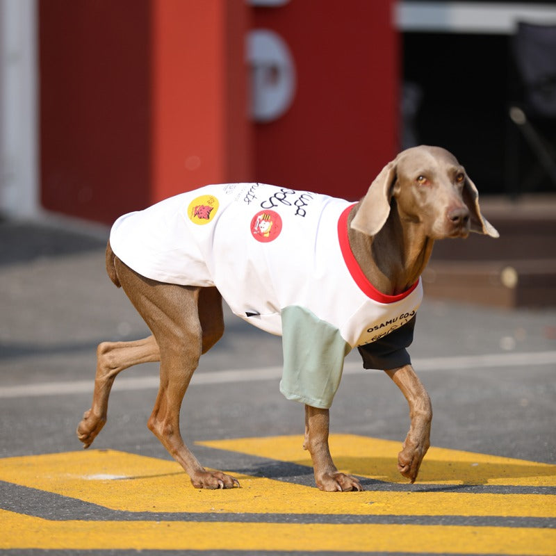 Soft Cotton Big Dog T-Shirt