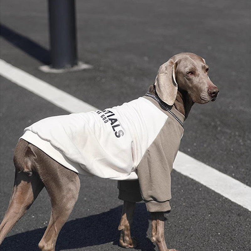 Breathable Big Dog Summer Hoodie