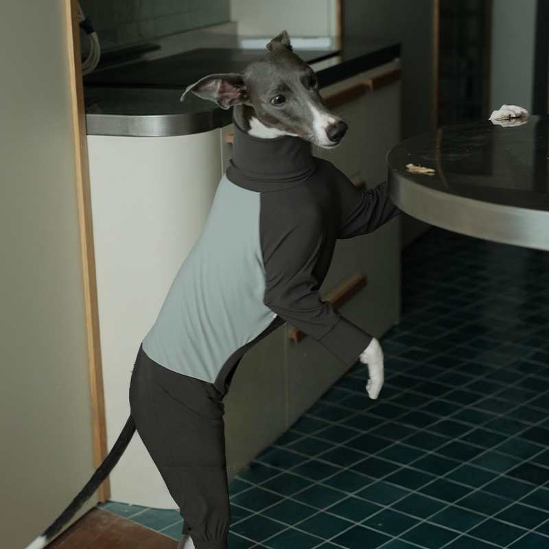 Anti-Insect Outdoor Onesies Italian Greyhound Whippet Clothes
