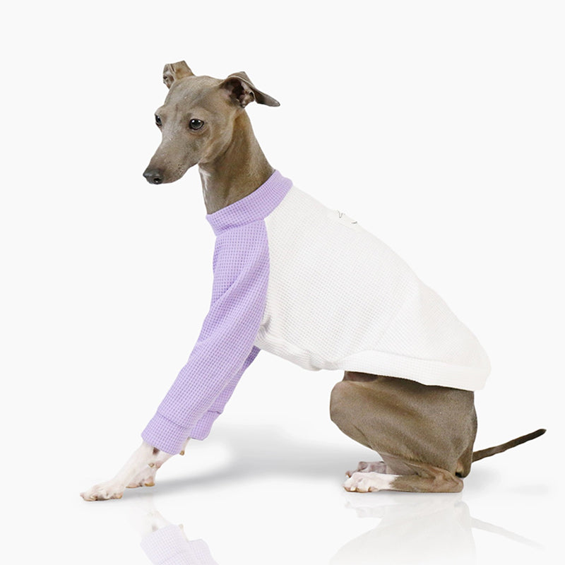 Soft Cotton Dog Whippet Shirt