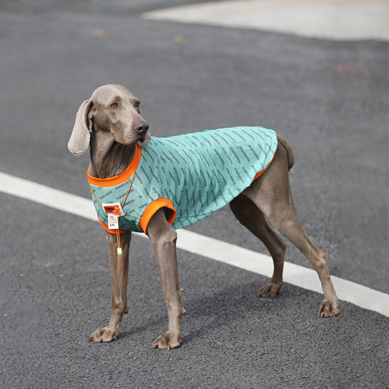 Breathable Big Dog Sport Tank