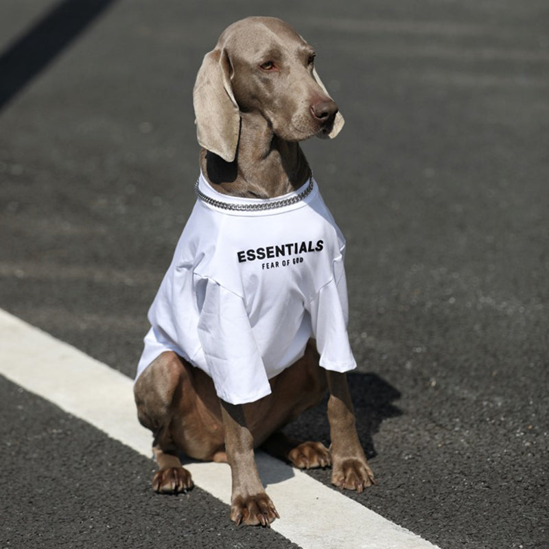 Soft Cotton Big Dog T Shirt