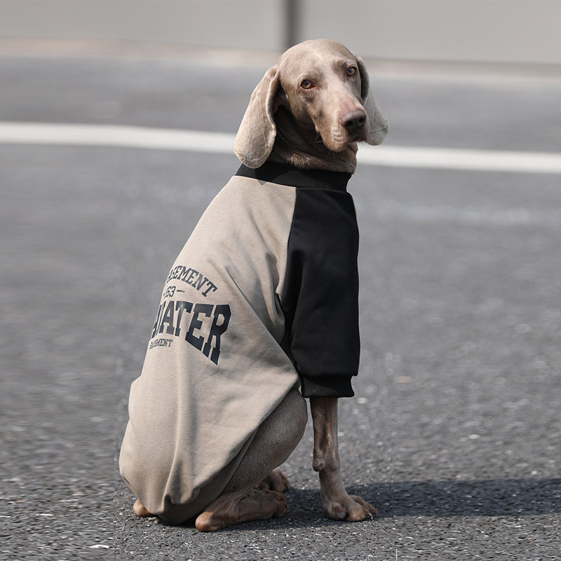 Soft Breathable Big Dog Hoodie