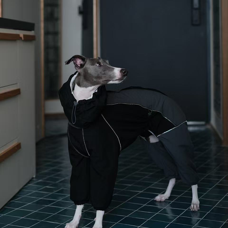 Winter Waterproof Windproof Onesie Italian Greyhound Whippet Clothes