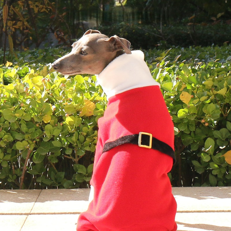 Christmas Red Four-Leg Onesie Italian Greyhound Whippet Dog Clothing