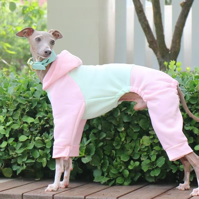 Warm Color Block Onesies for Italian Greyhound Whippet Clothes