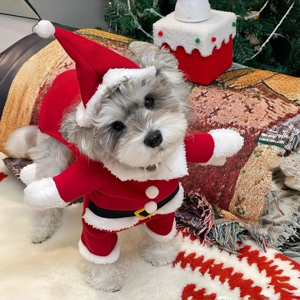 Cat and dog dressed in red Santa outfit, warm Christmas pet clothes