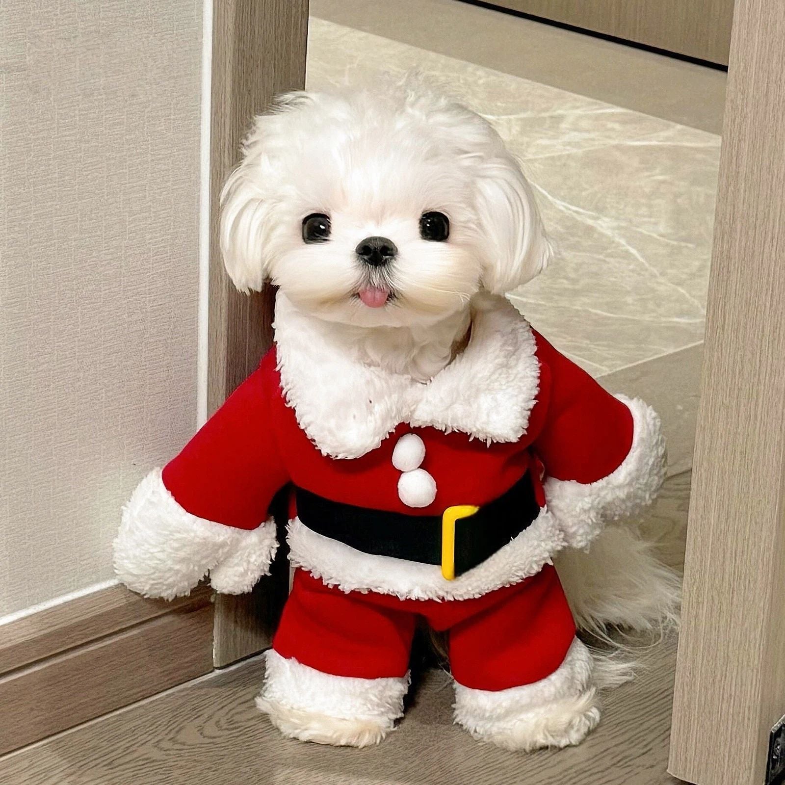 Dog wearing a classic Santa Claus costume for Christmas, soft and cozy outfit for pets