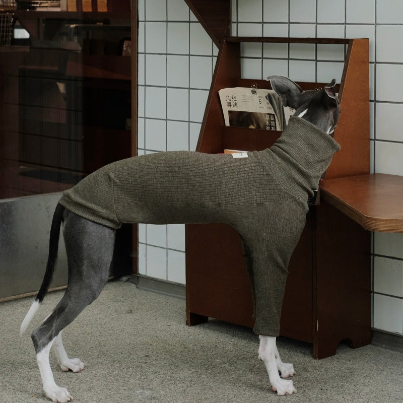 High-Neck Thermal Base Shirt Italian Greyhound Whippet Clothes
