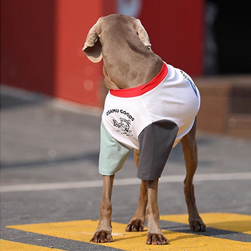 Soft Cotton Big Dog T-Shirt